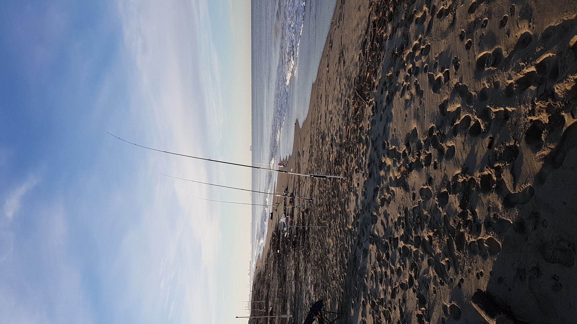 Spot photo 46