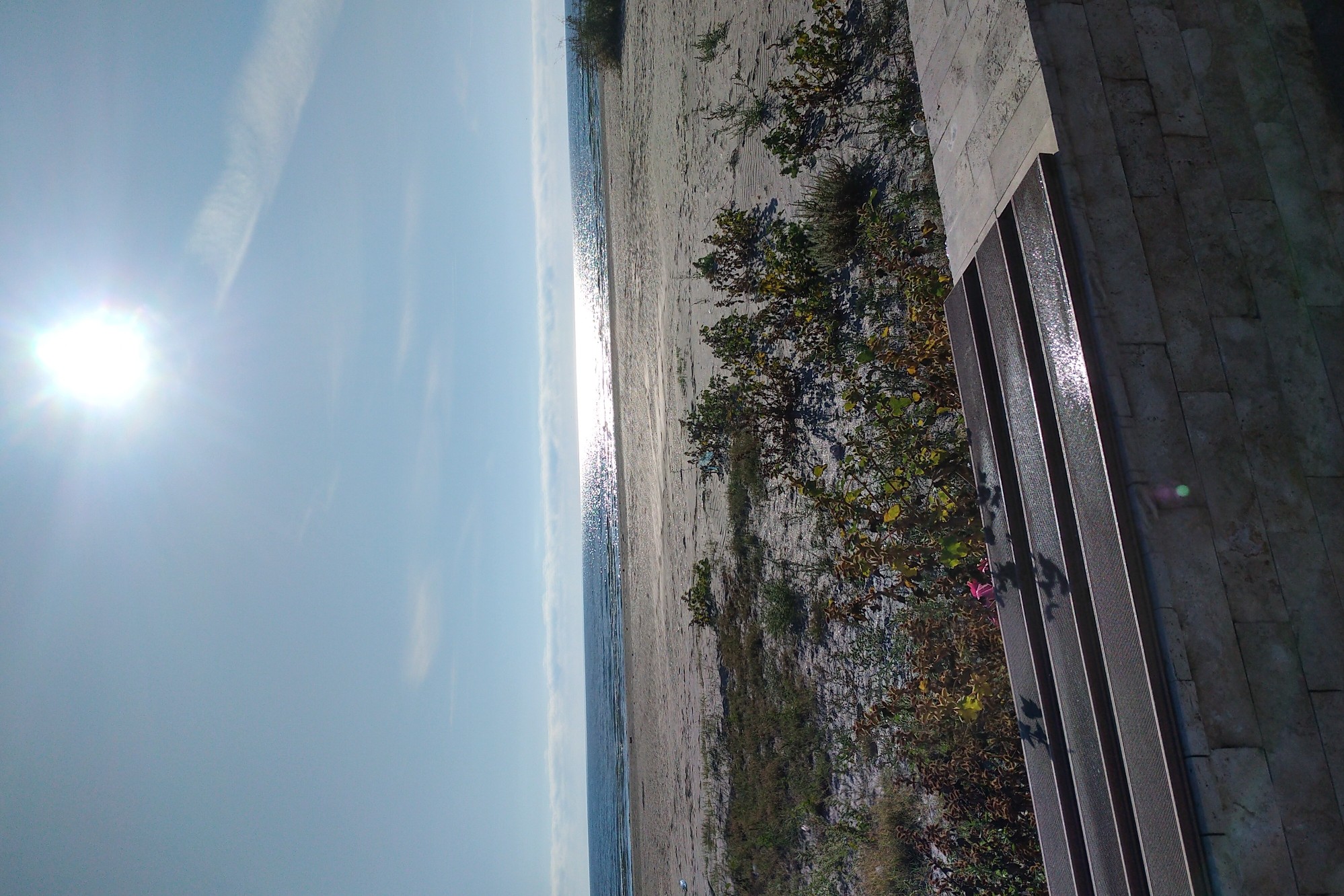 Spot photo 11
