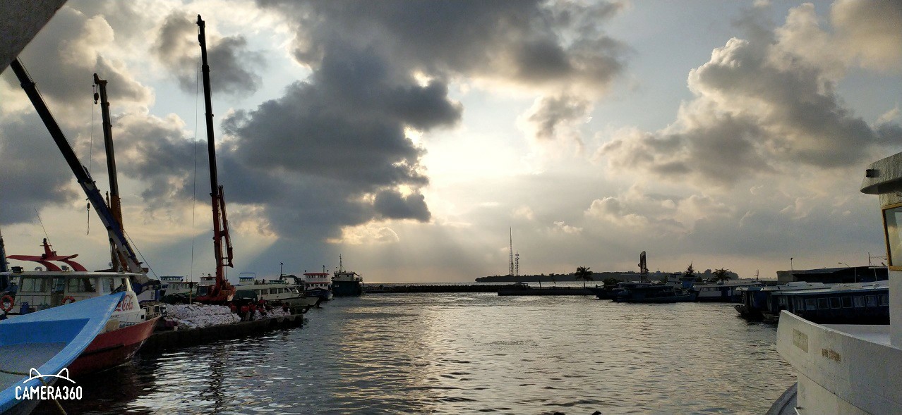 Spot photo 116